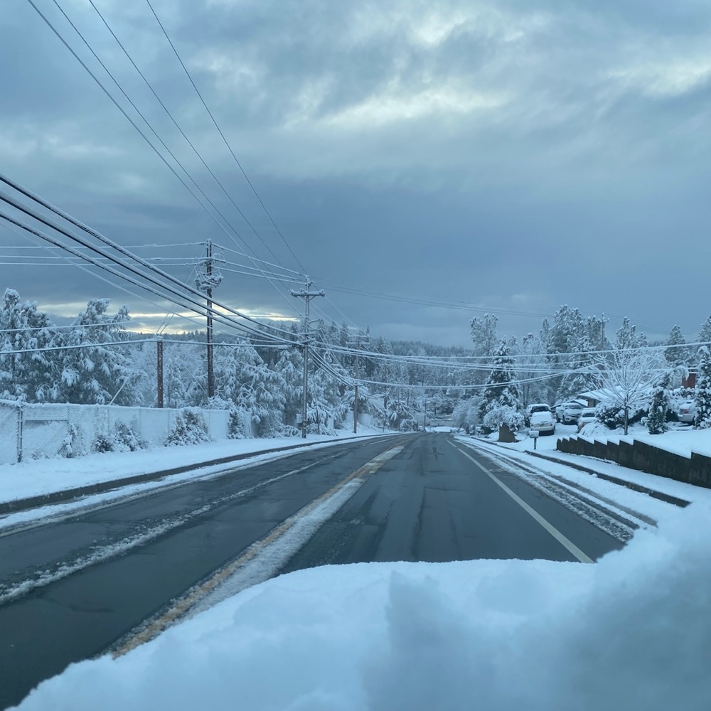 Meet your Posher, Shelby